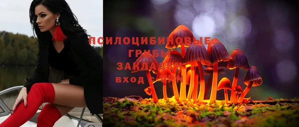 трава Каменногорск