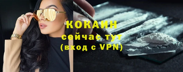 первитин Каменка