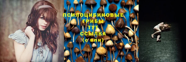 трава Каменногорск